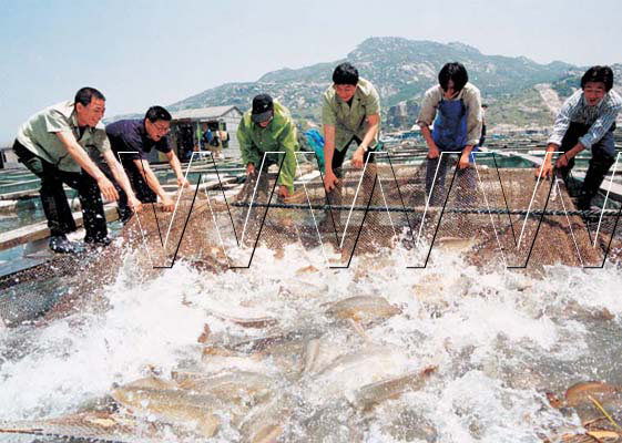 fish farm